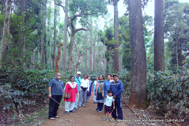 Chikmagalur Night Safari Senior Citizen