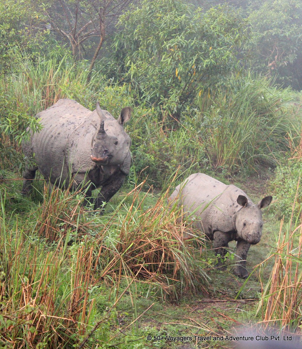 senior citizens tour to Hornbill Festival blog by 50plusvoyagers