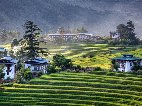 Senior Citizen Bhutan Tour - Tashichhoe Dzong
