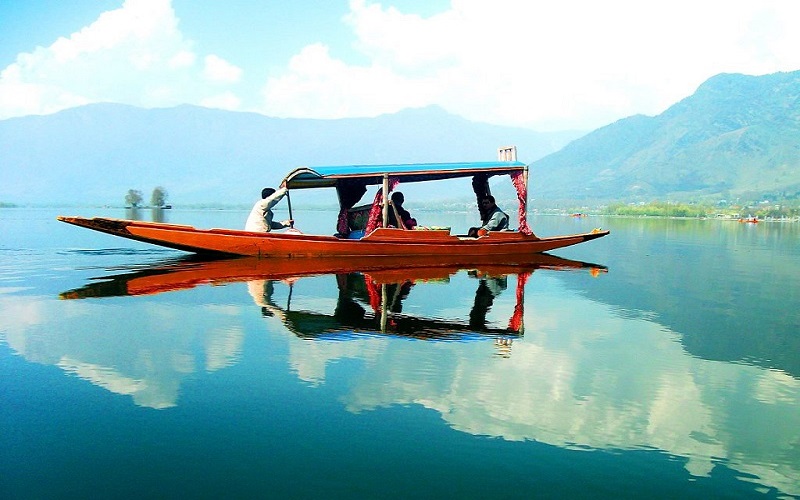 Kashmir Senior Citizen Tours Srinagar - saffron field