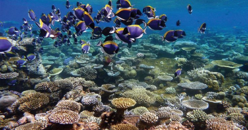 Senior Citizen Andaman Tour