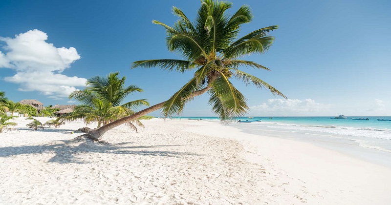 Senior Citizen Andaman Tour