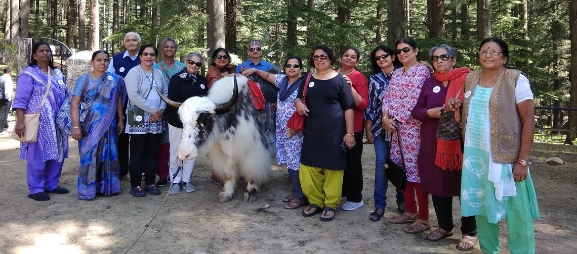 Senior Citizen Tour Himachal