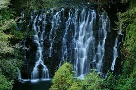 sightseeing in meghalaya amazing destination for senior citizens